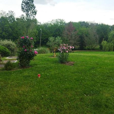 Chambre Avec Entree Independante Dans Un Ecrin De Verdure Dommartin  Exterior foto